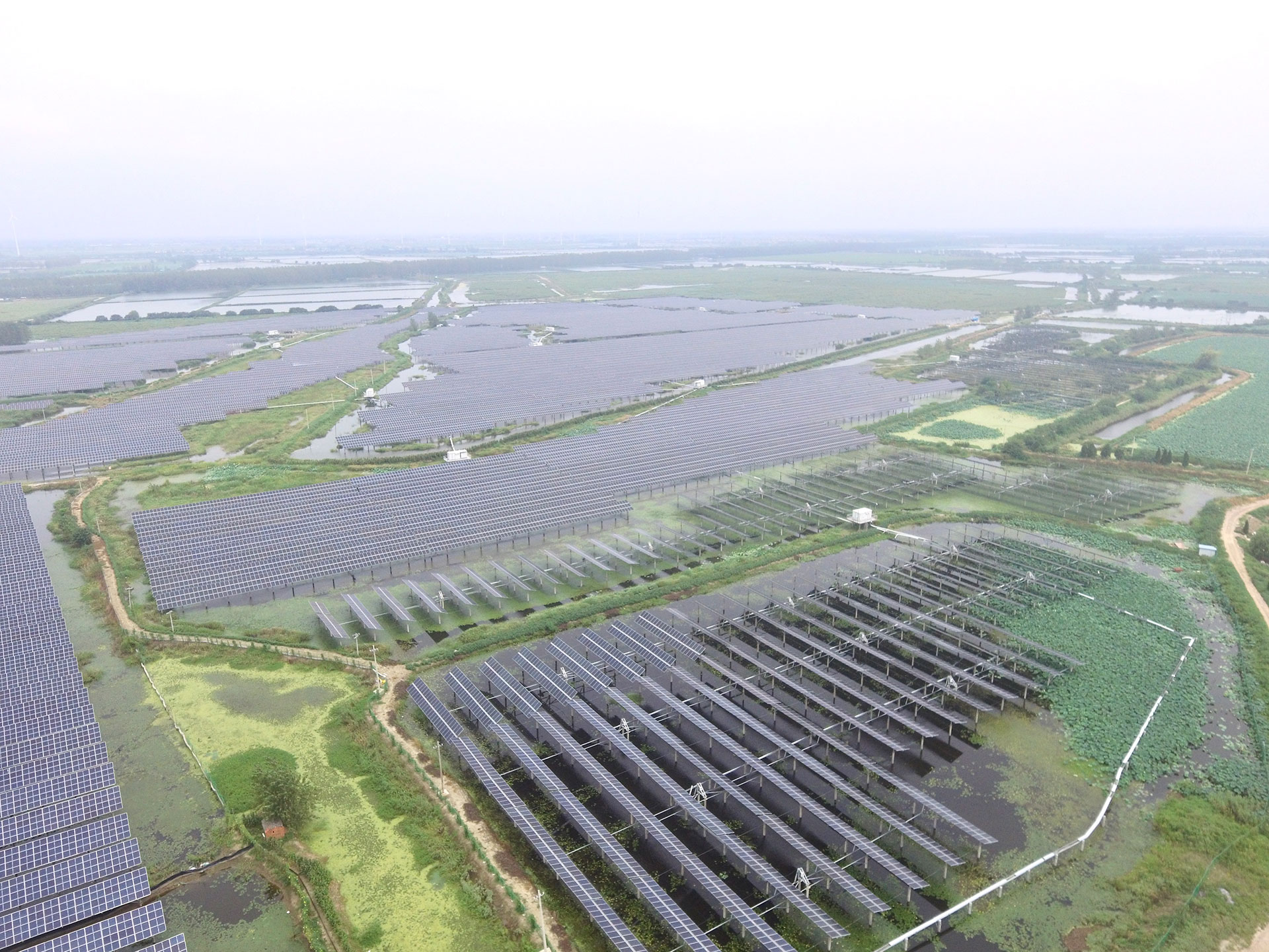 好博体育科技江苏扬州宝应光伏发电应用领跑基地2号100兆瓦项目